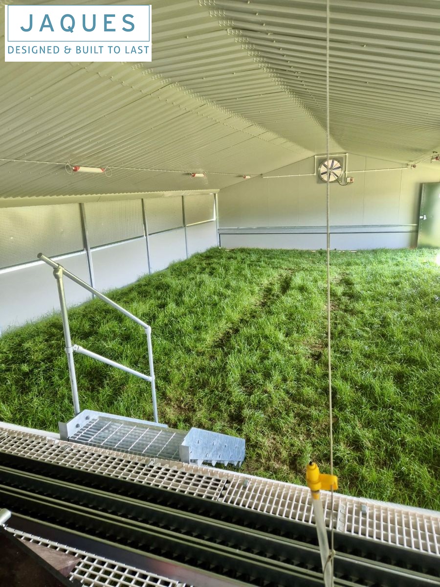 27f8f18c-3733-49dc-80fa-698a3f6db5ed