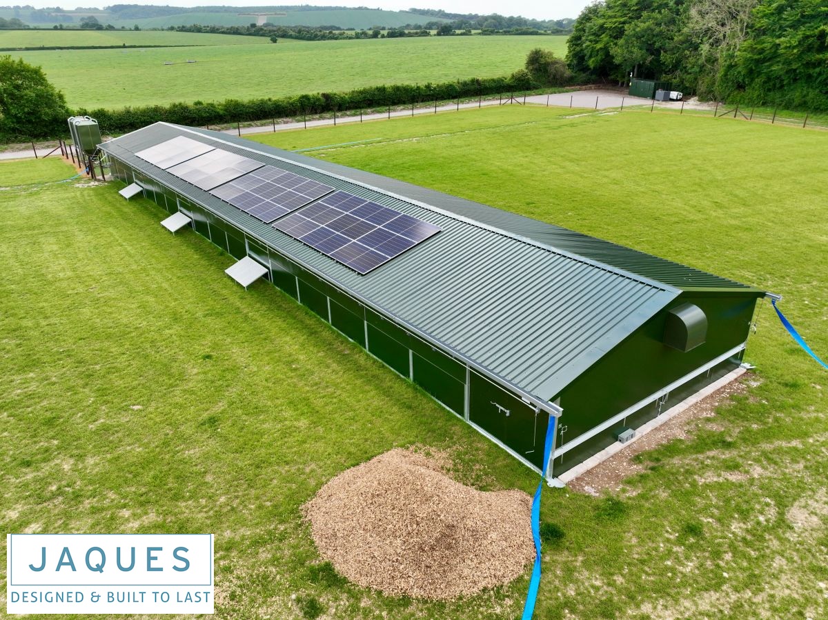 dji_fly_20250522_162958_28_1747928424288_photo