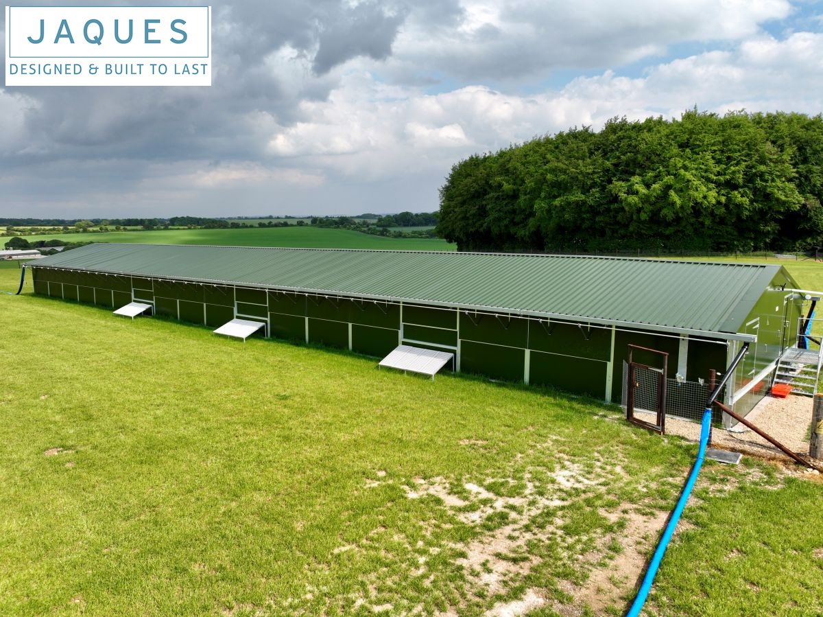 dji_fly_20250522_163340_39_1747928394959_photo